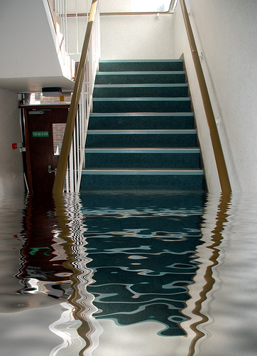 Water Damage and Flood Repairs